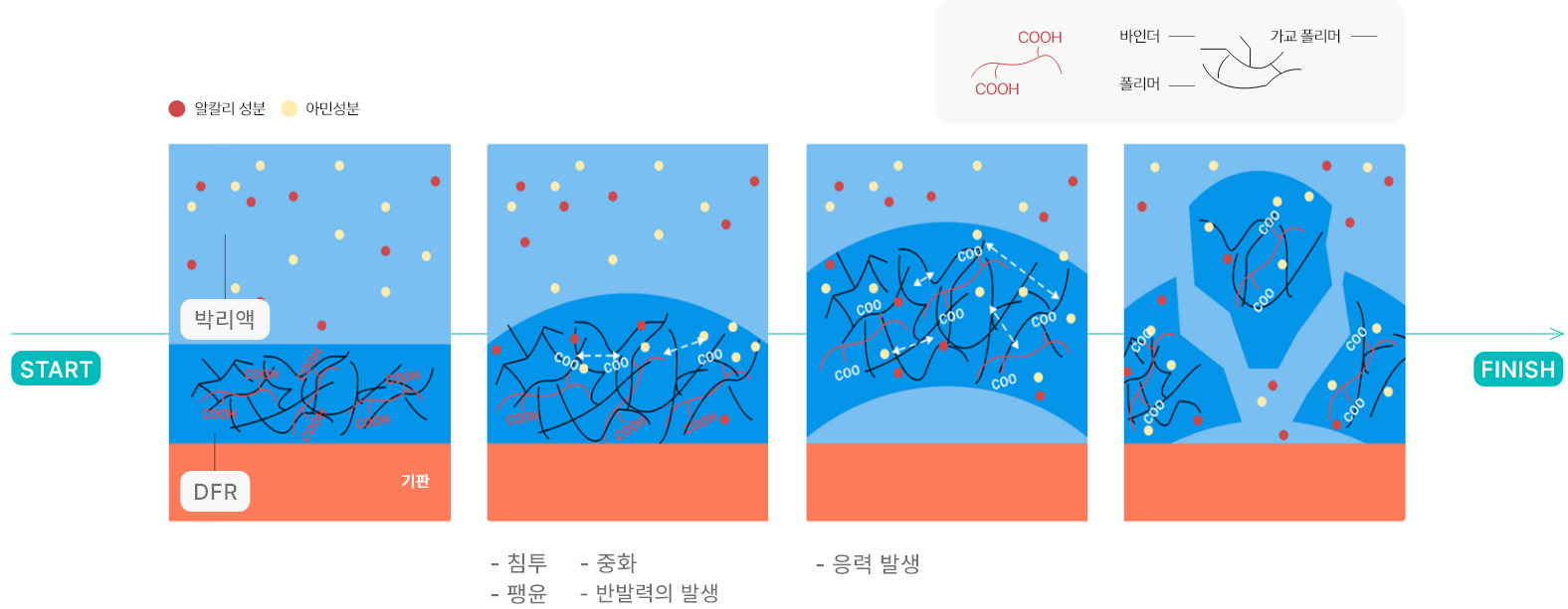Developer 현상액 설명 이미지